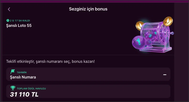 Lüks Casino Şanslı Loto 55 çekiliş banner görseli